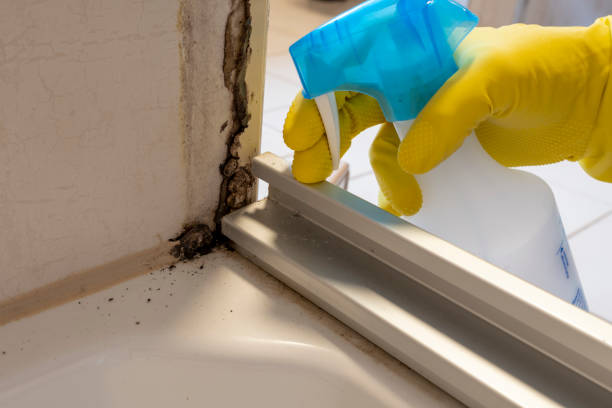 Best Home Mold Removal  in Sunrise, FL