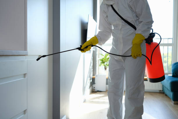 Best Toxic Mold Removal  in Sunrise, FL
